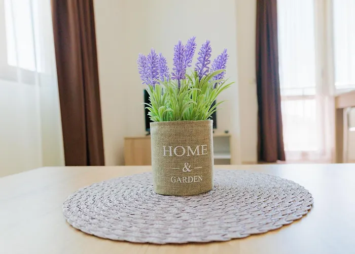 блек сий Апартамент Свети Влас